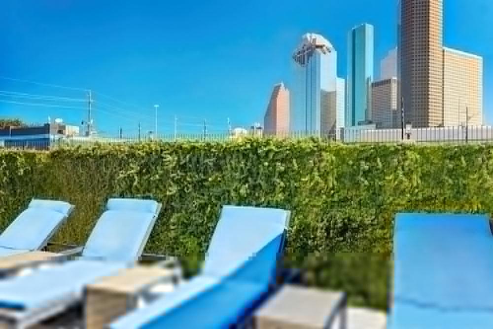 Best Western Plus Downtown Inn & Suites Houston Luaran gambar