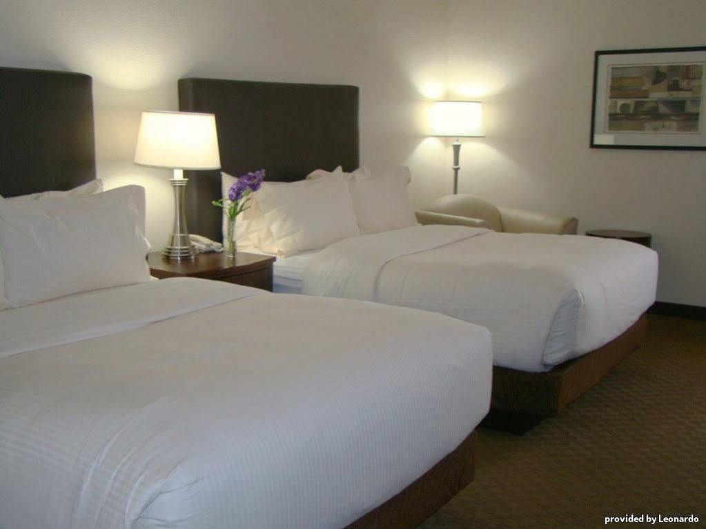 Best Western Plus Downtown Inn & Suites Houston Bilik gambar